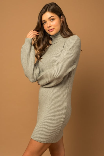 Turtle Neck Sweater Dress