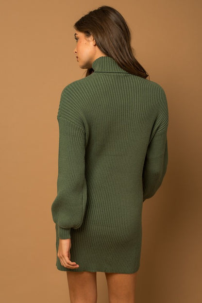 Turtle Neck Sweater Dress