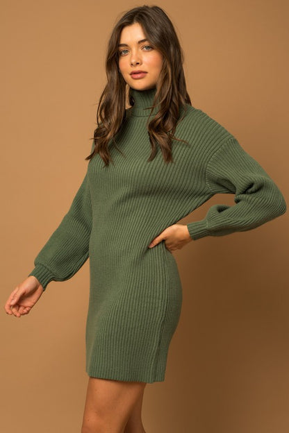 Turtle Neck Sweater Dress