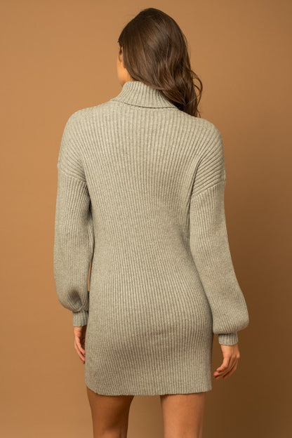 Turtle Neck Sweater Dress