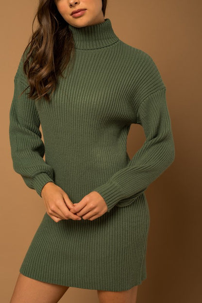 Turtle Neck Sweater Dress