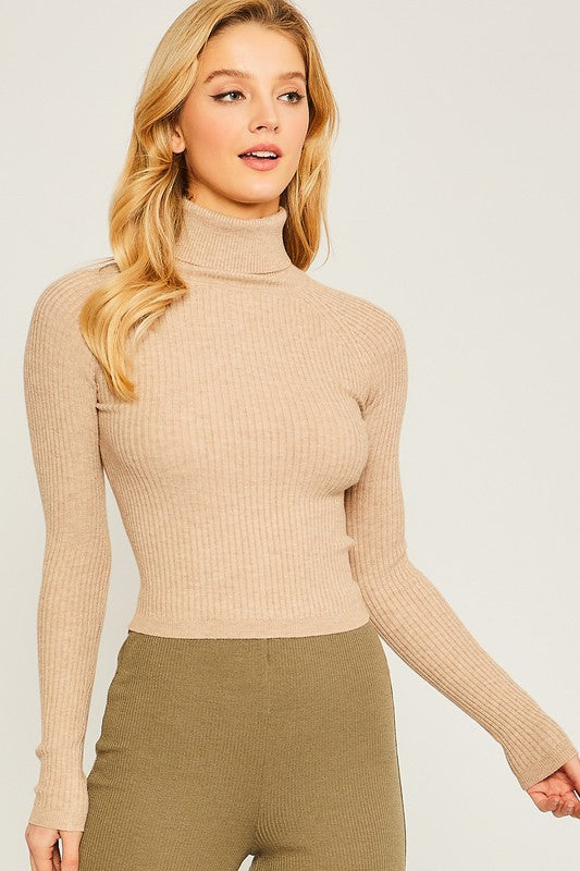 Velma Turtleneck Sweater Top